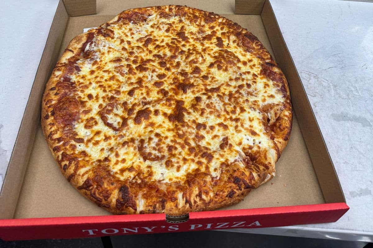 17" X-Large Plain Pizza
