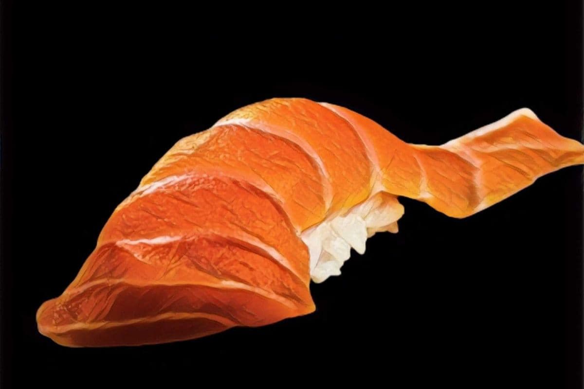 AC1. Salmon