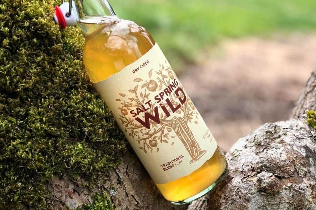 Salt Spring Wild - Dry Cider - 750mL (1 x 750 ml)