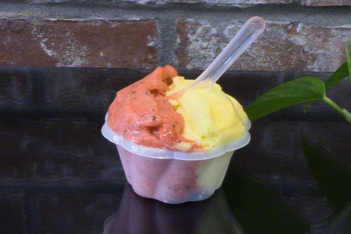 Sorbet fraise et mangue / Strawberry and Mango Sorbet