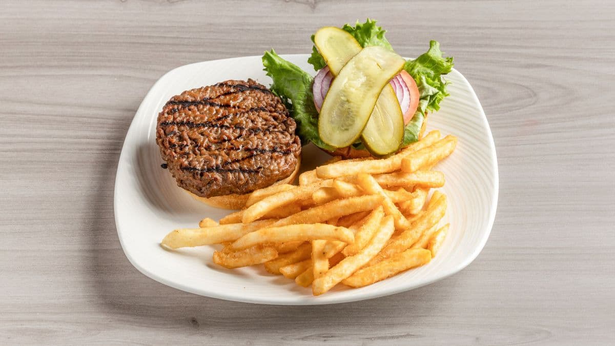 Plain Hamburger