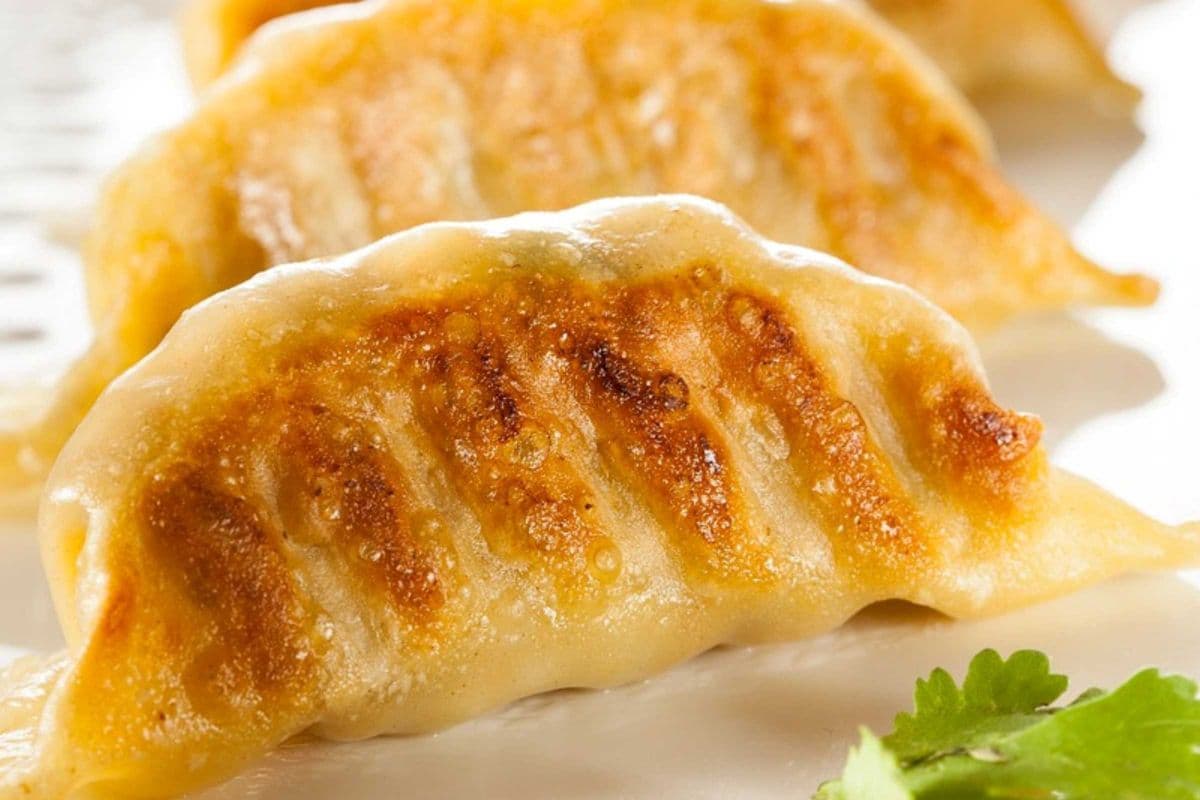 Gyoza