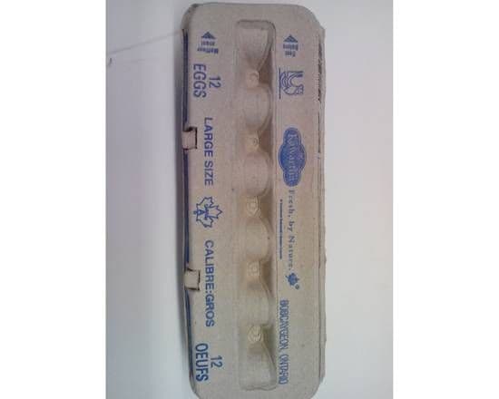 Eggs (12 Medium)