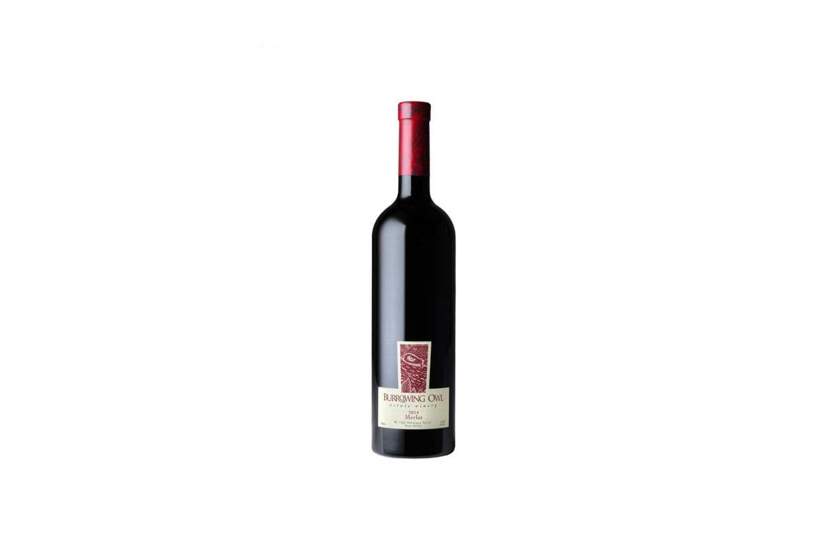 Burrowing Owl Merlot (Ca)🍁 (1 x 750ml)