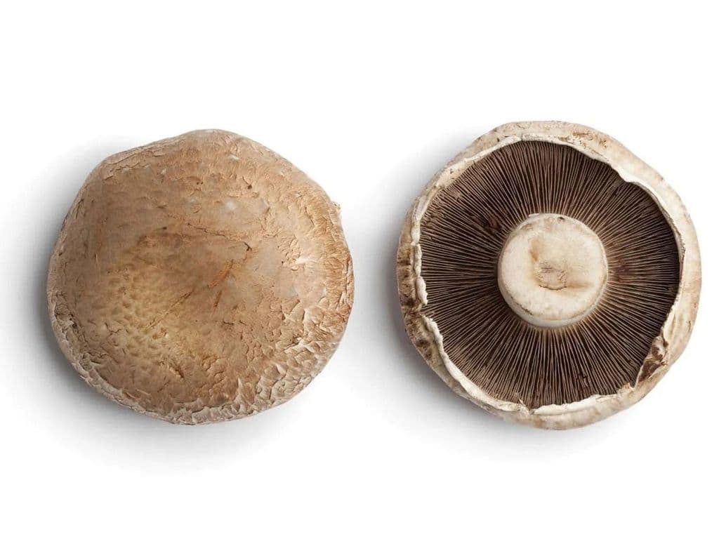 PONDEROSA ORGANIC PORTABELLA MUSHROOMS 3PC