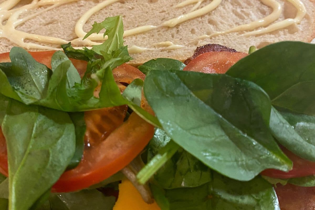 Café Club Sandwich