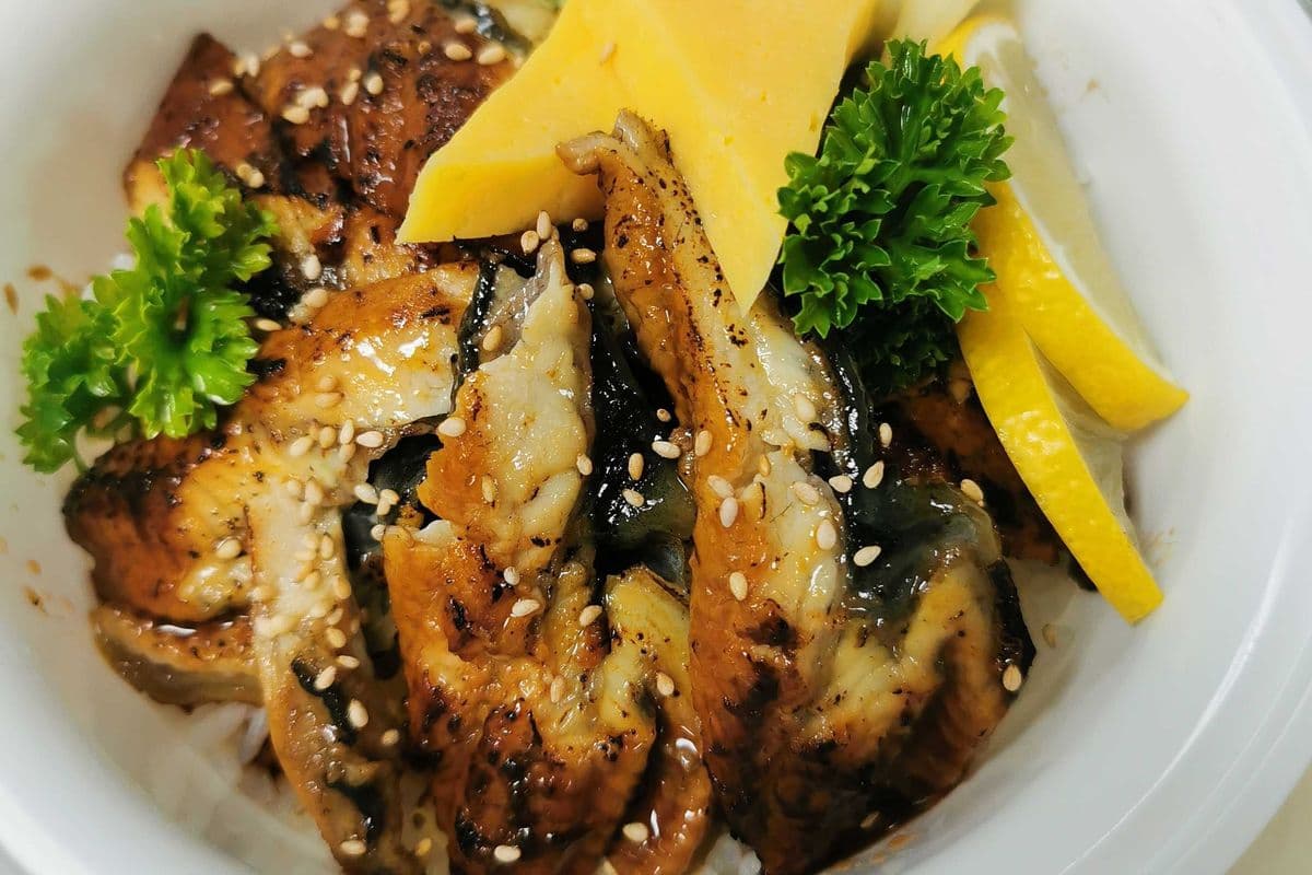 Unagi Don