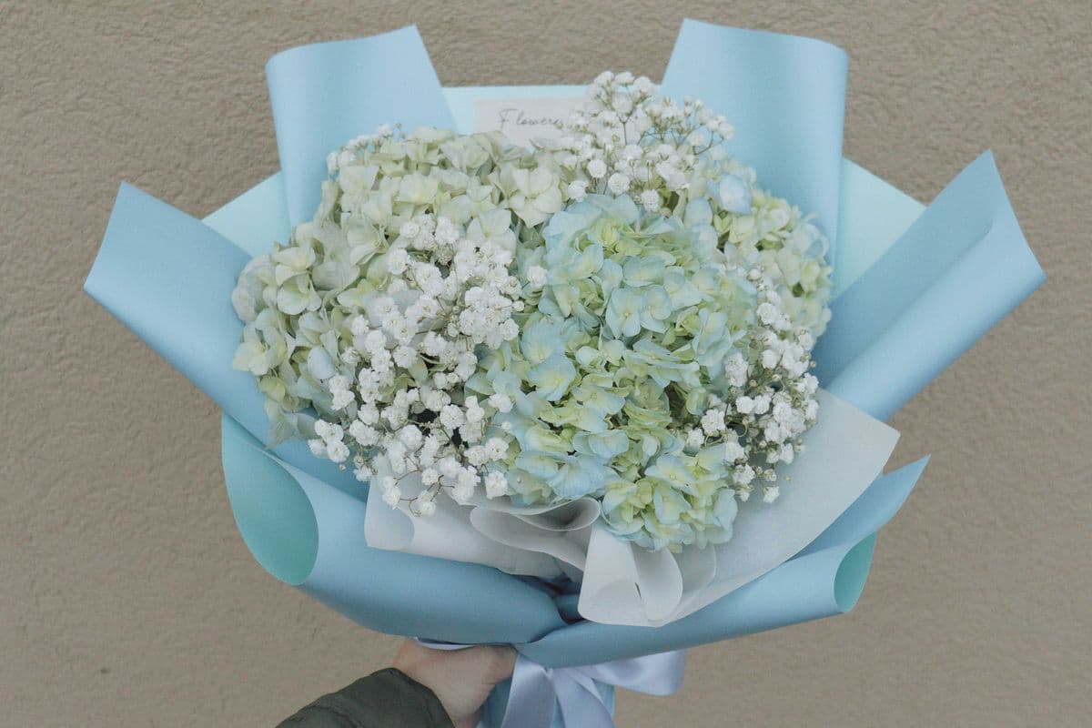Blue Hydrangea Bouquet + Baby's Breath