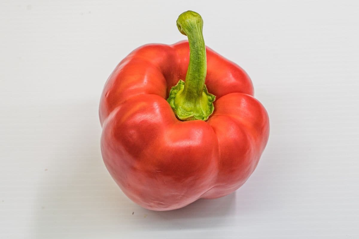 Poivrons verts et rouges (1 lb) / Green and Red Peppers (1 lb)