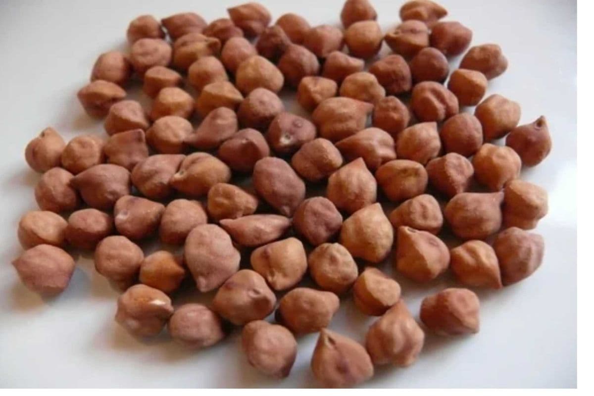 Black Channa 1.8 kg
