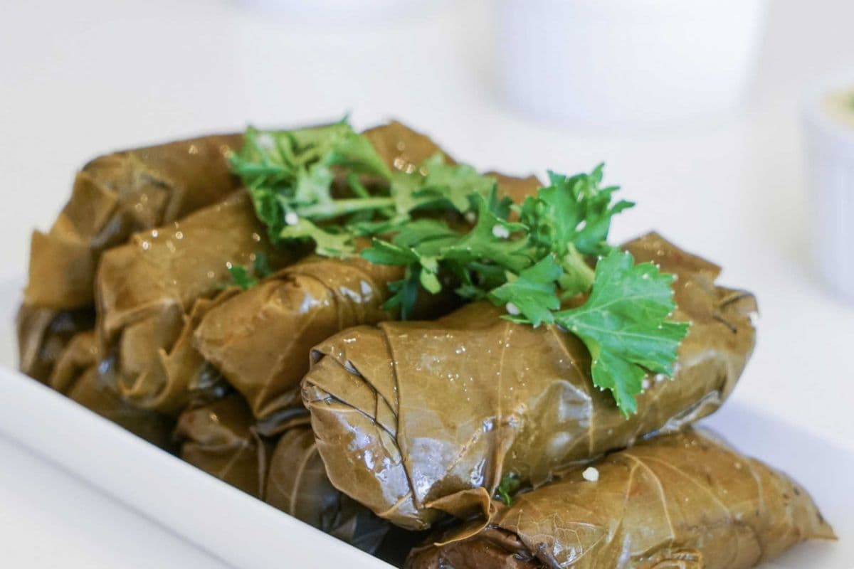 Grape Leaves