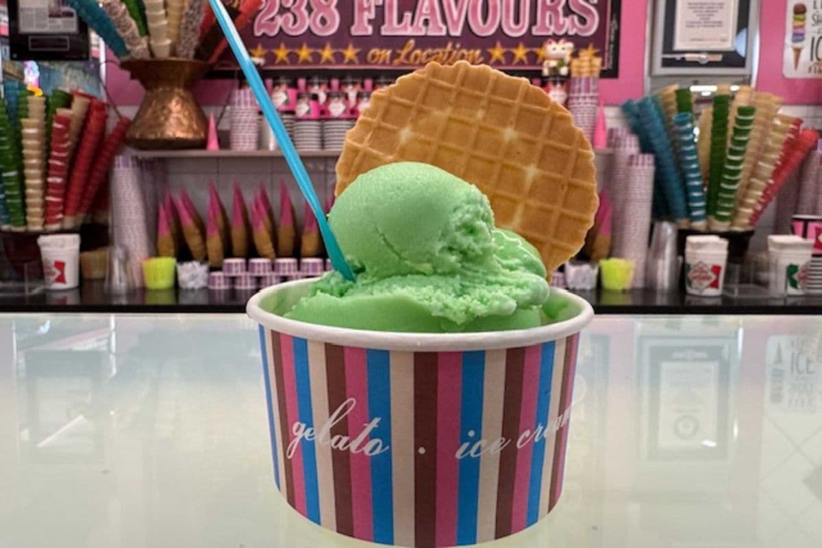 Gelato or Sorbetto (Single Cup)