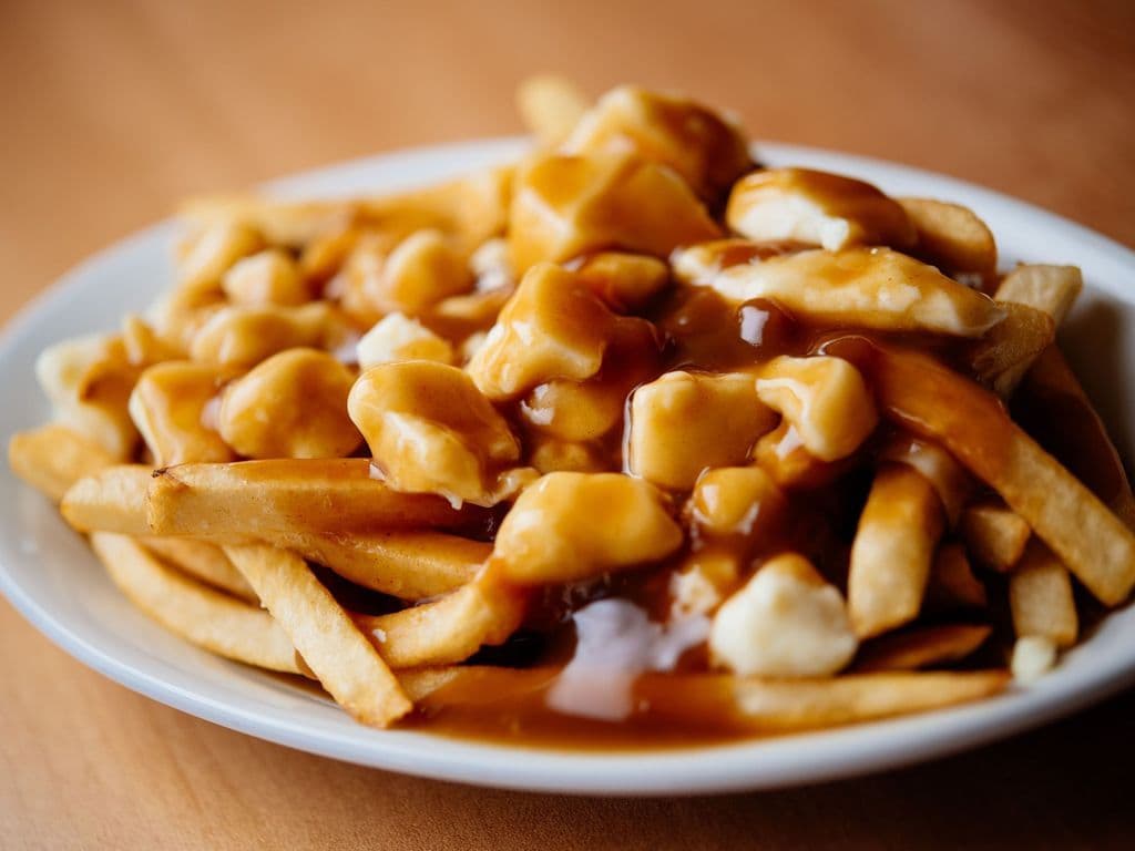 POUTINE REGULIER