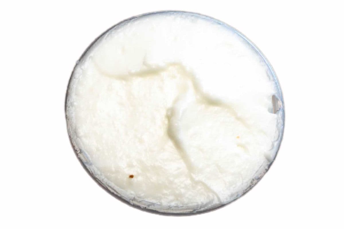 Garlic Sauce