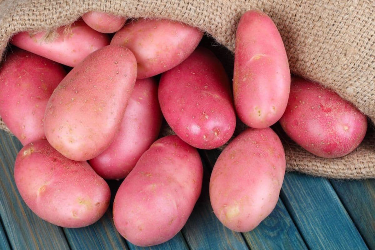 Red Potatoes (5 lbs)