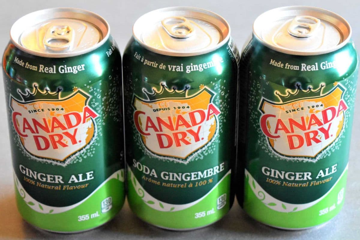 Canned Ginger Ale (355 ml)