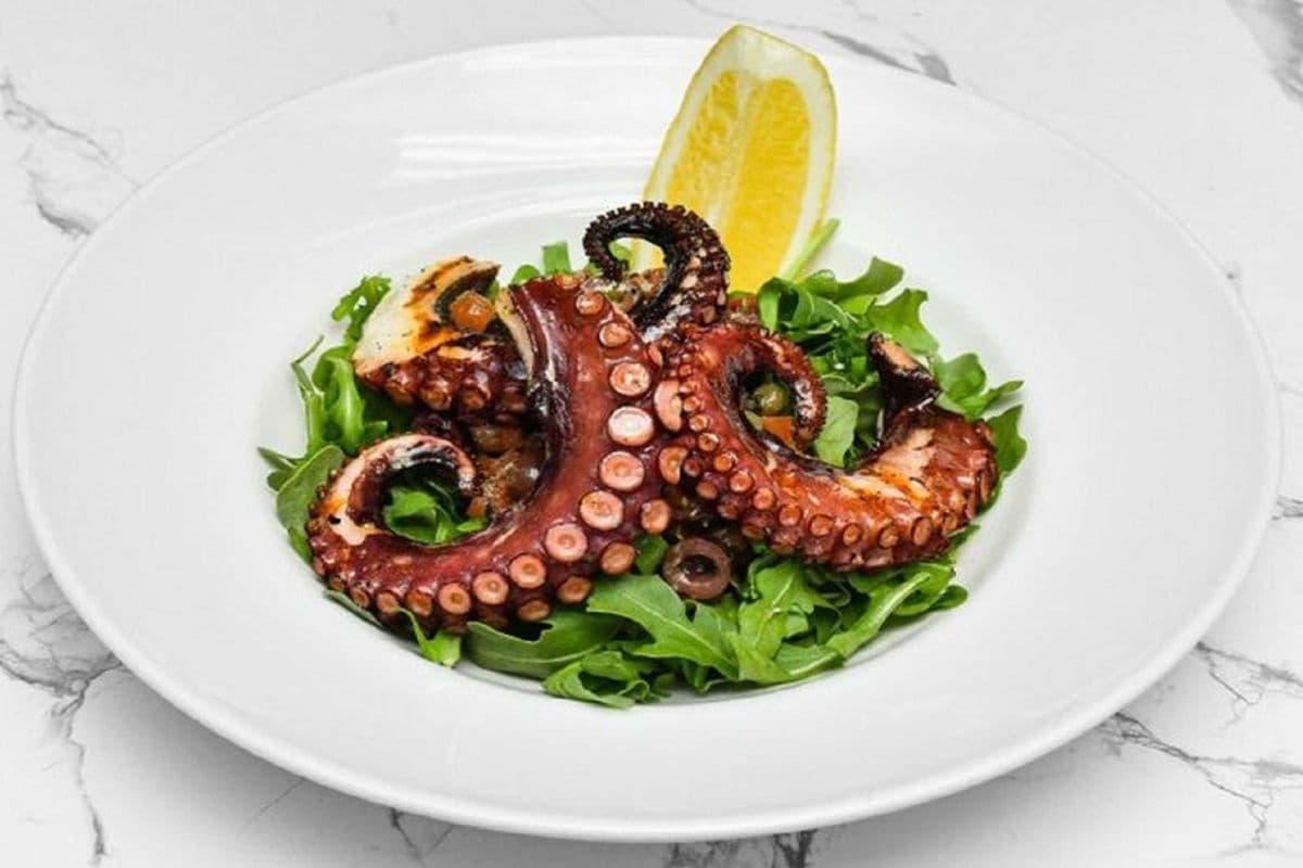 GRILLED MOROCCAN OCTOPUS