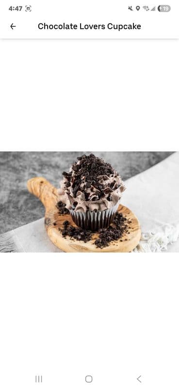 Each Chocolate Lovers Cupcake
