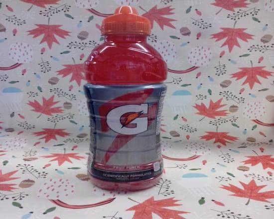 Gatorade Fruit Punch (710 ml)