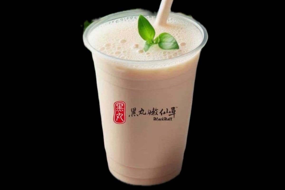 Honey Green Milk Tea 蜂蜜綠奶茶