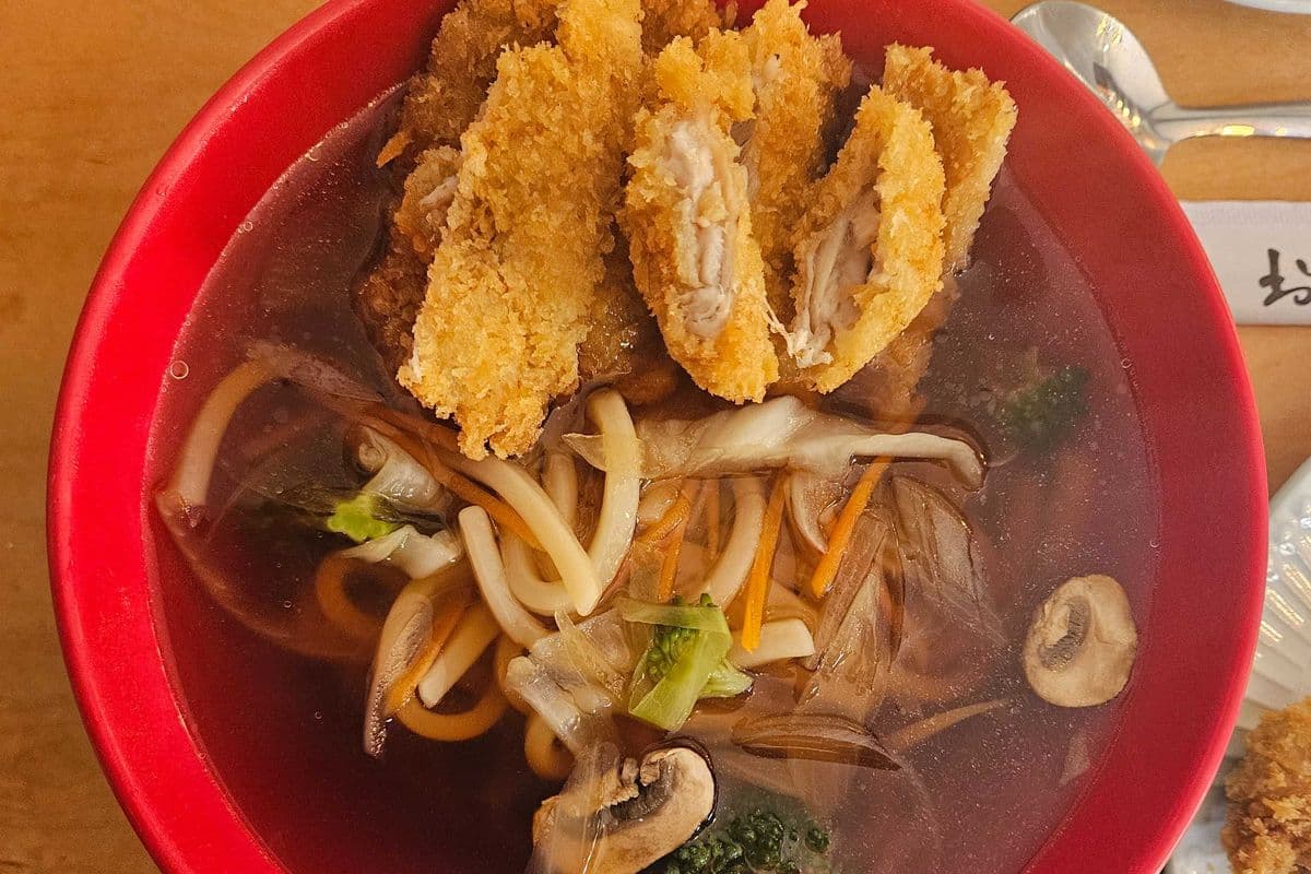 W-4 Katsu Udon