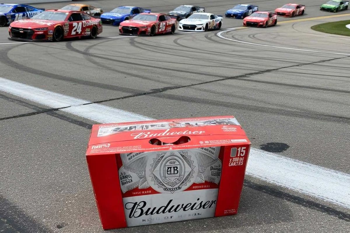 Budweiser (15 Cans) (15 x 355 ml)