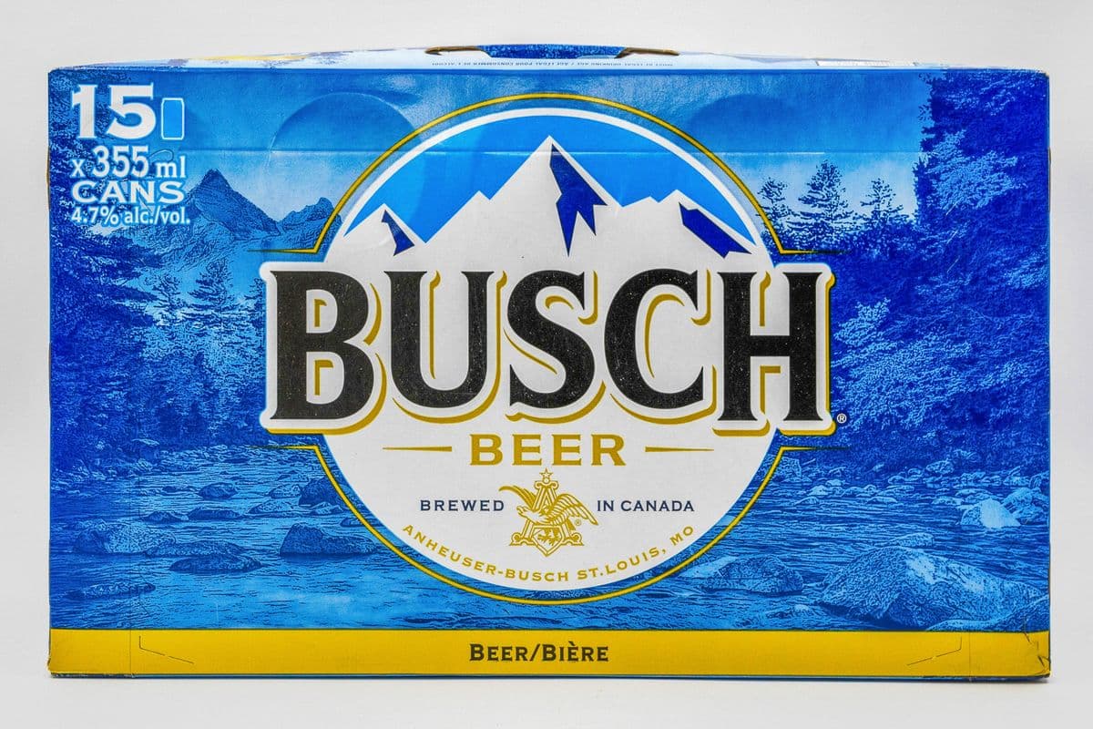 Busch (15 Cans) (1 x 15 can)