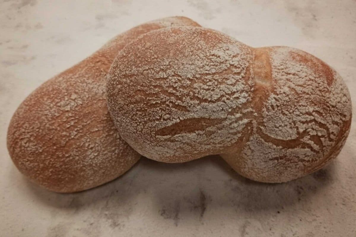 Padas