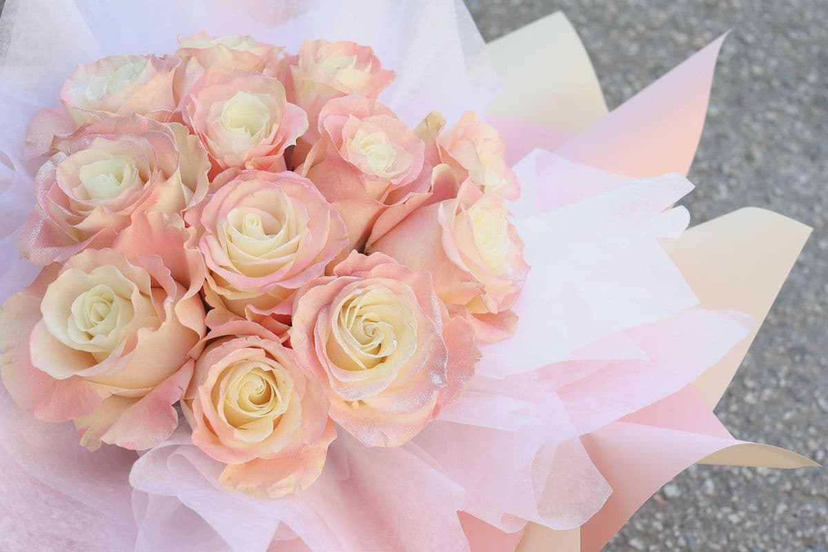 R5. Icy Pink Bouquet (12 Icy Pink Roses)