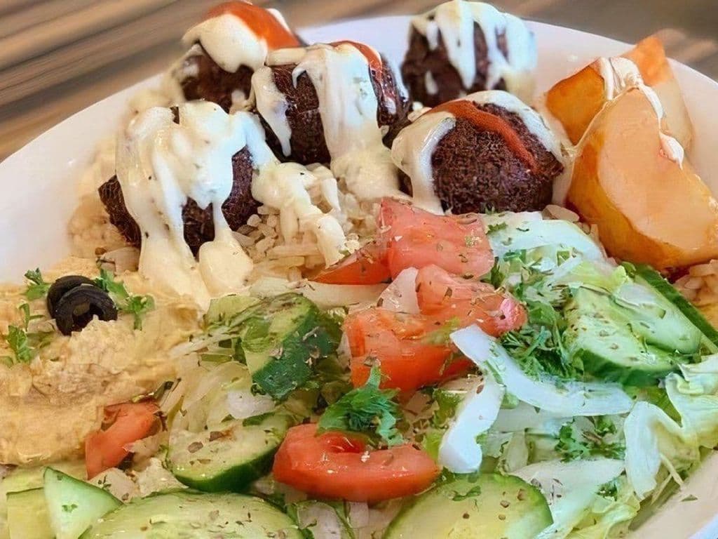 Falafel Platter (Regular)