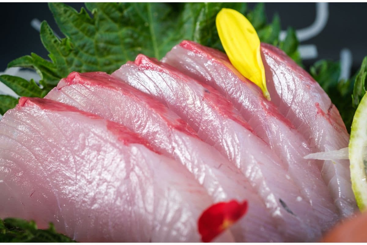 Hamachi (Yellow Tail)