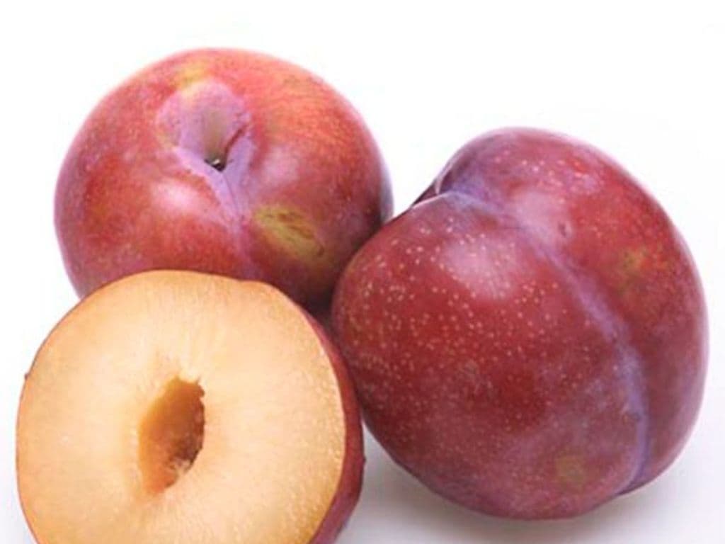 Plums - Red (8 PCS)