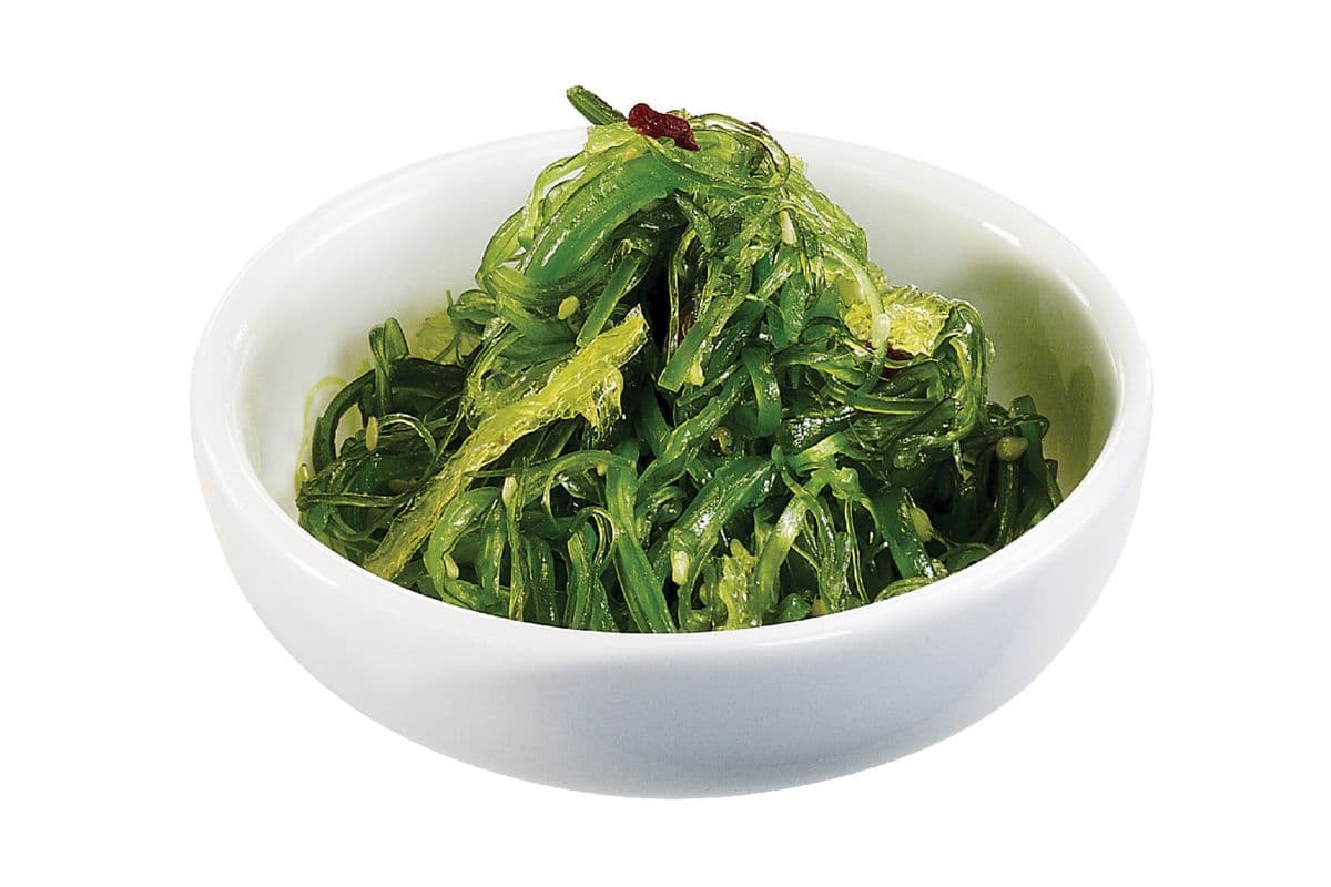 Wakame (Petit) / Wakame (Small)
