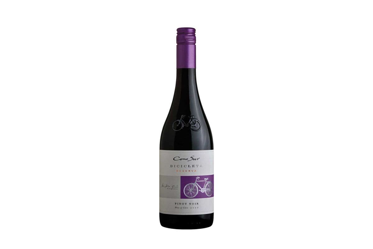 Cono Sur Pinot Noir (1 x 750 ml Bottle)