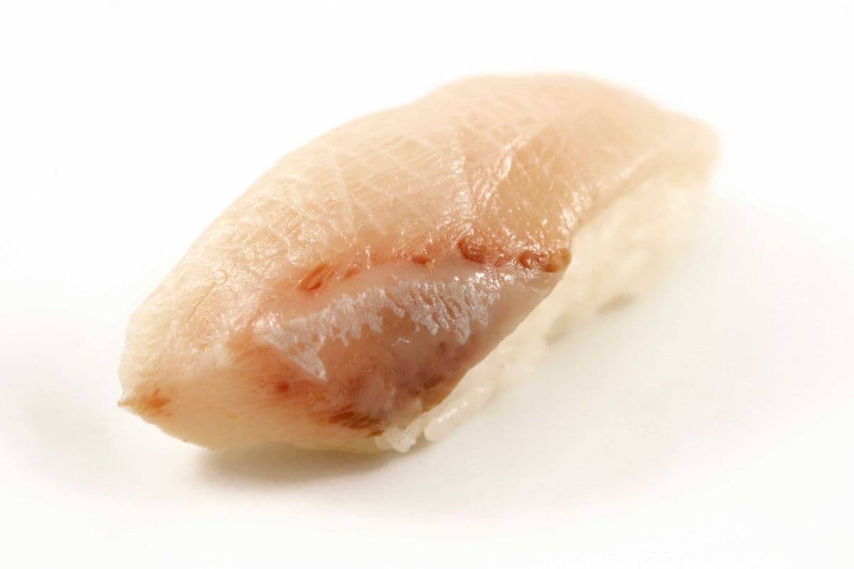 504. Hamachi
