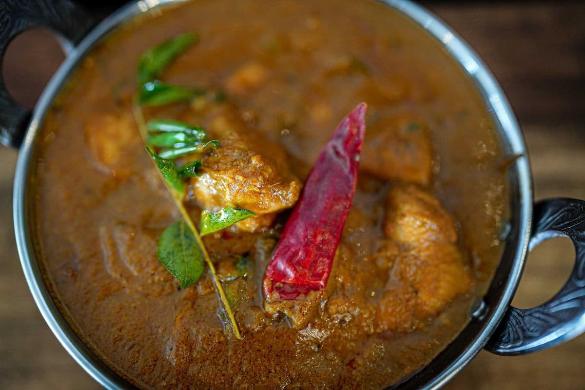 Madras chicken curry