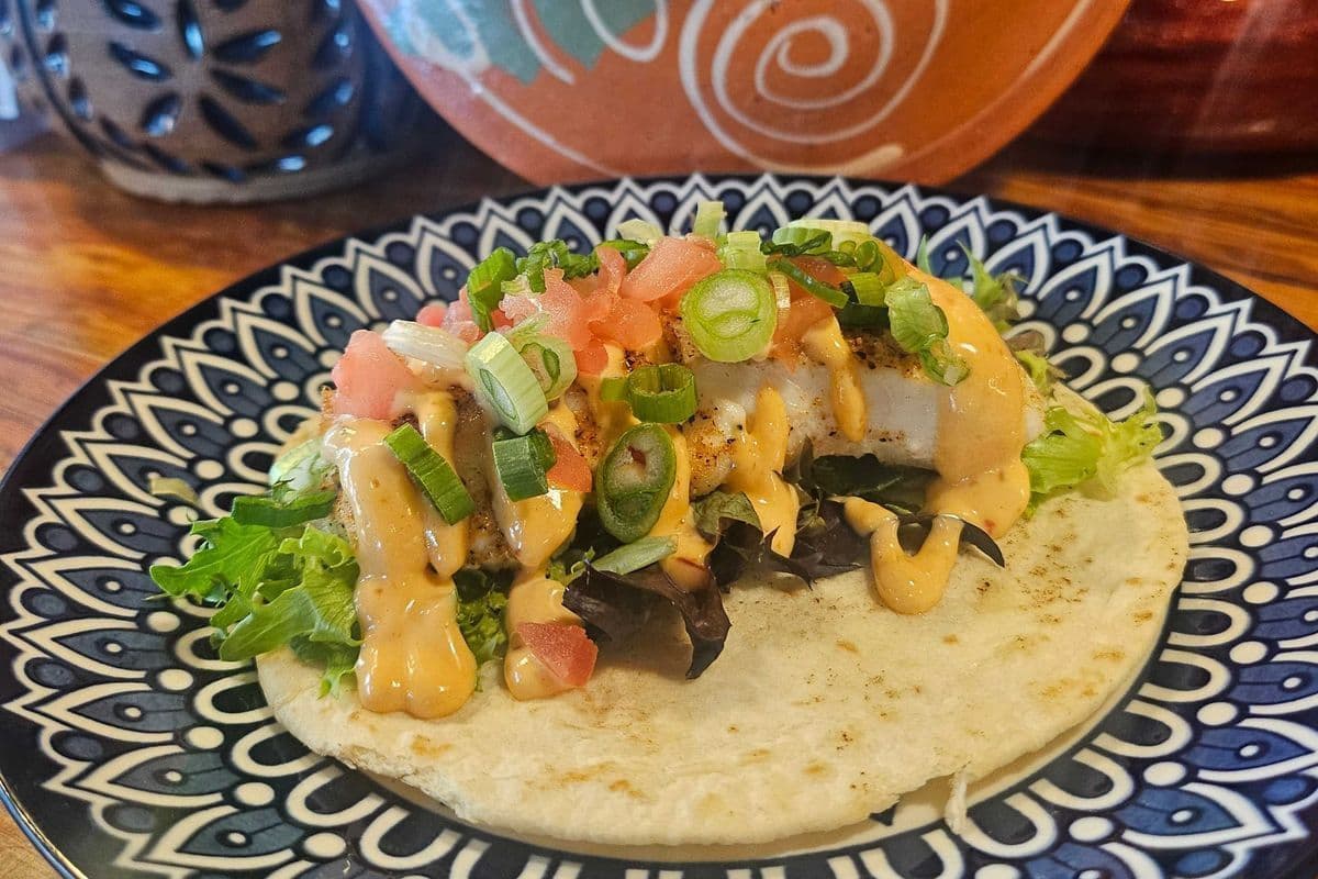 Single Rockfish Taco