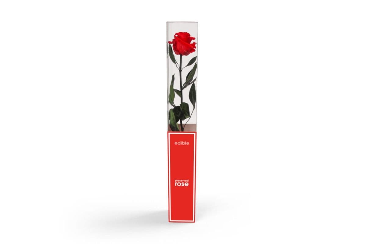Single Stem Preserved Rose