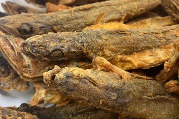 Merlan (1 Kg) / Whiting (1 Kg)