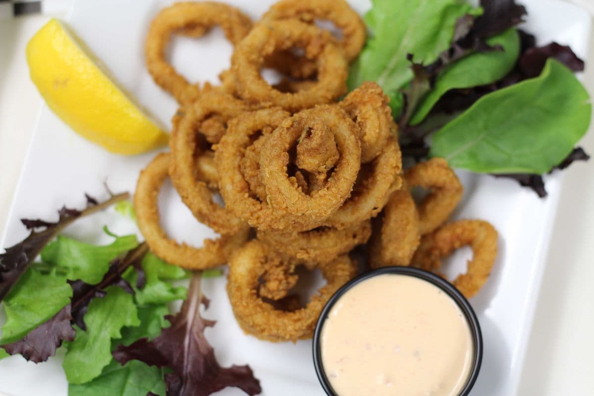 Fresh Calamari