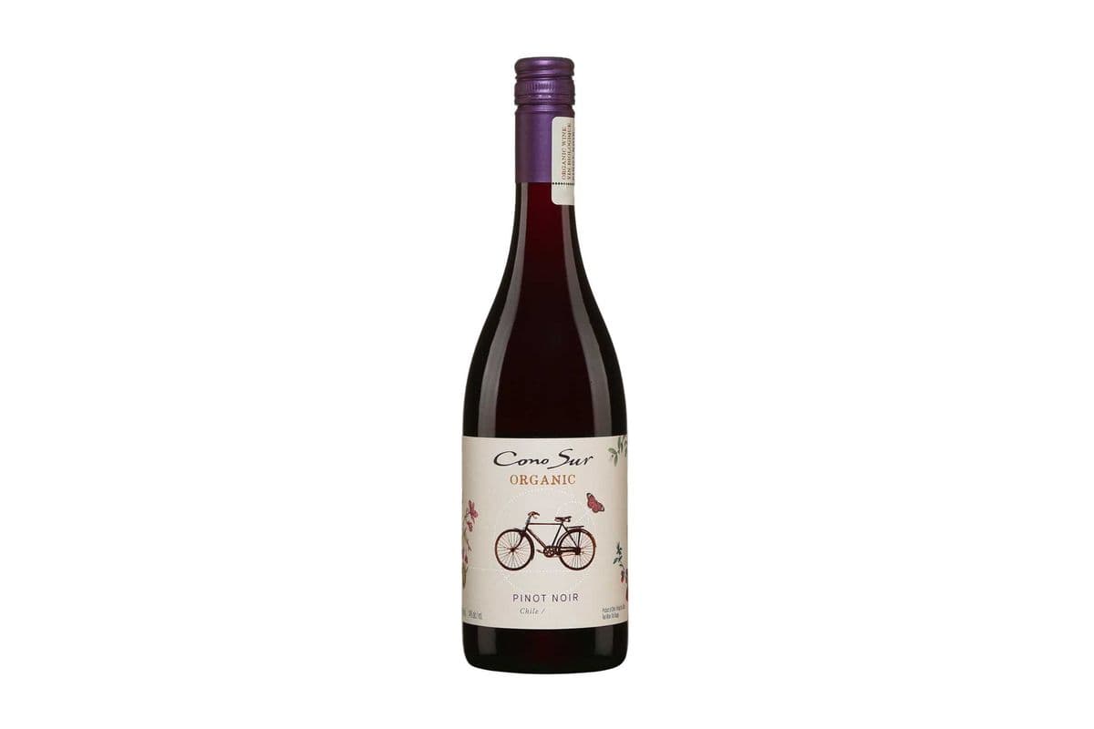 Cono Sur Pinot Noir (Organic) (Chile) (1 x 750ML)
