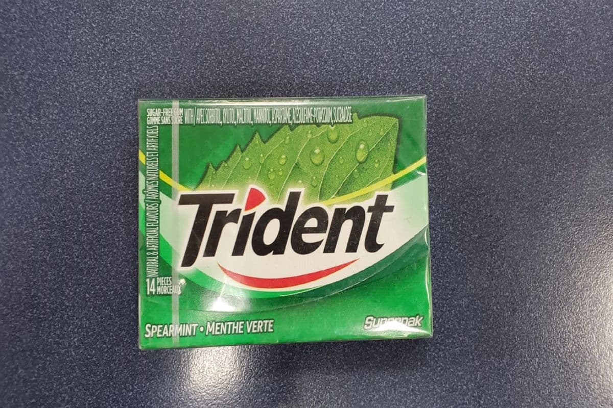 Trident Gum Spearmint (1 ct)