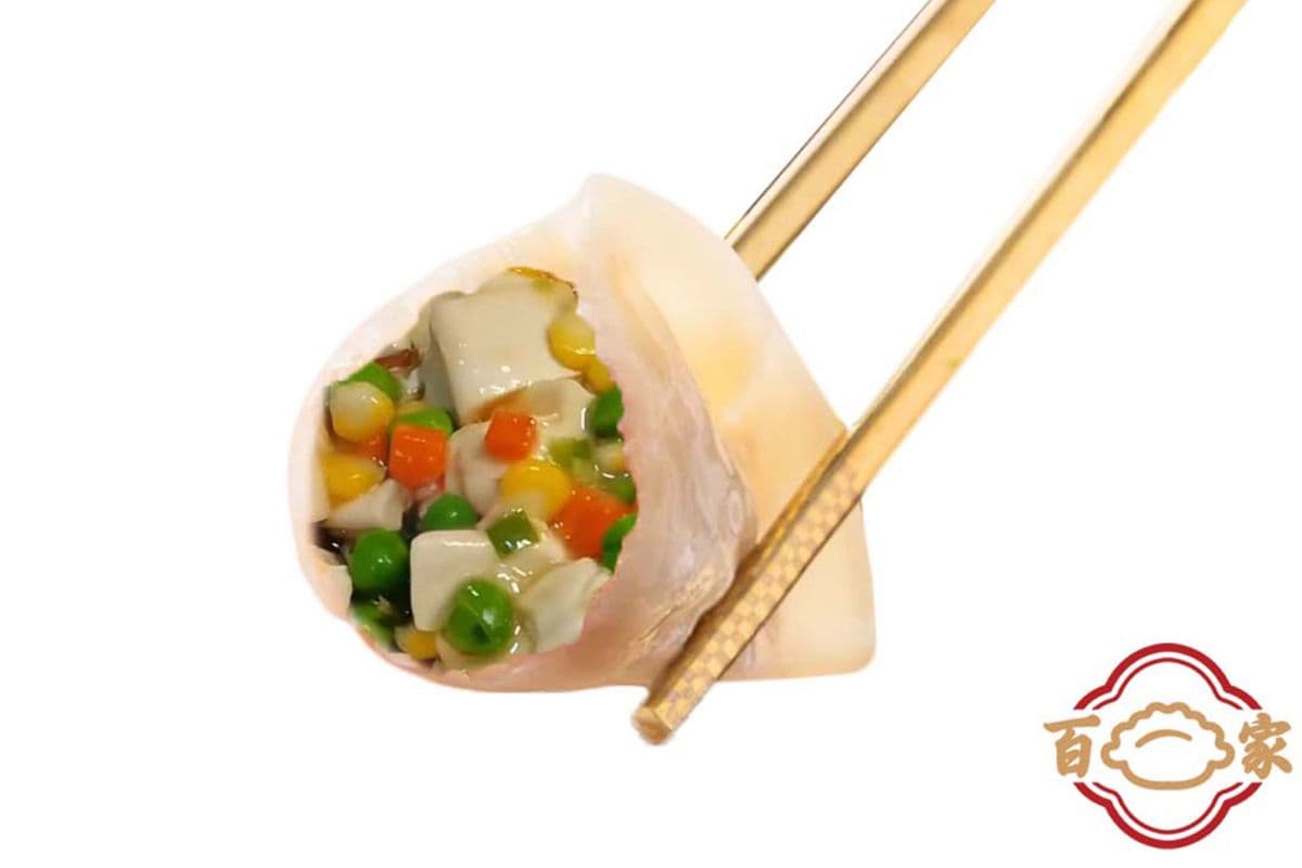 03. Dumplings frit au tofu et légume / Tofu and Veggies Fried Dumplings/ 什锦豆腐
