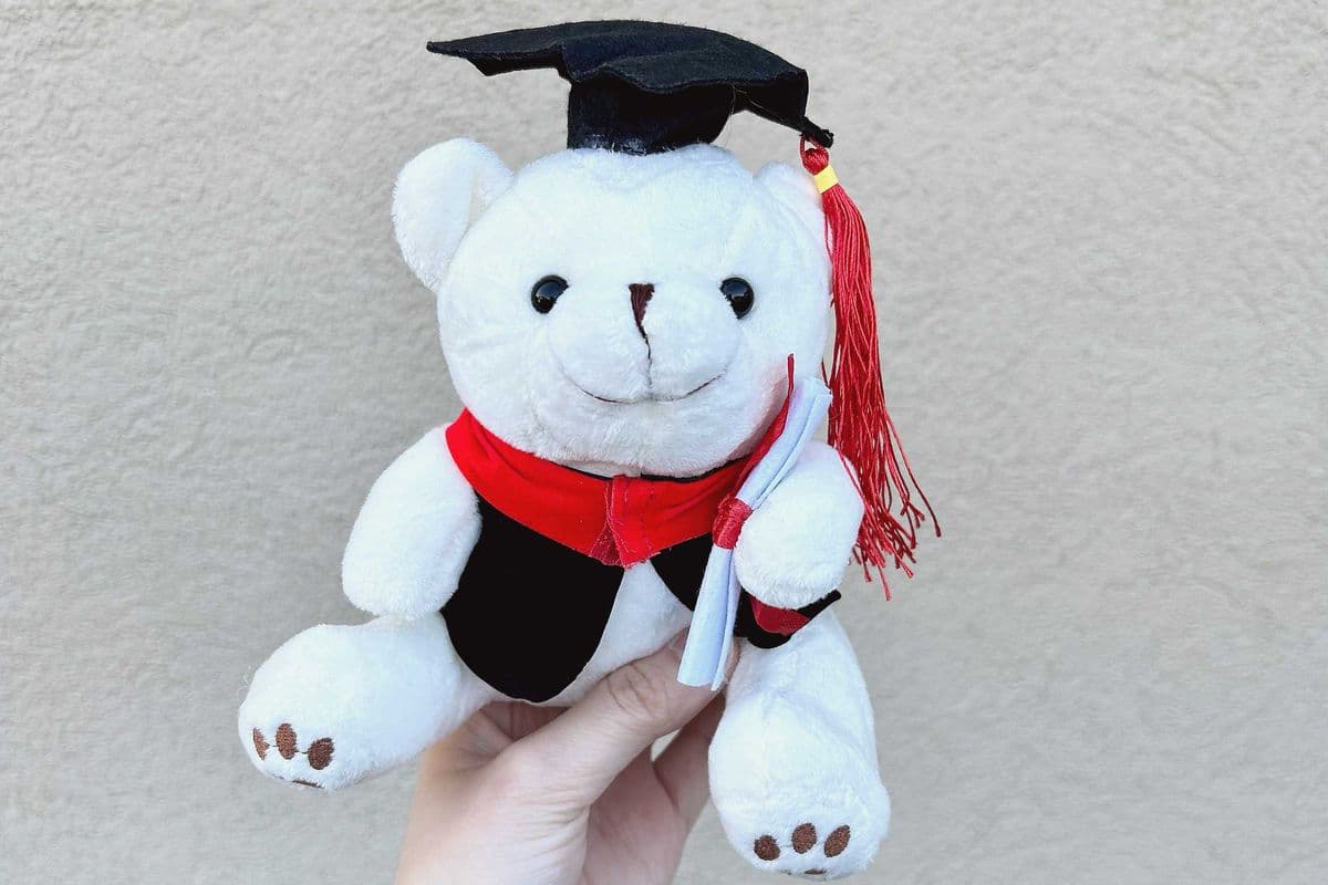 Graduation Bear Small - White