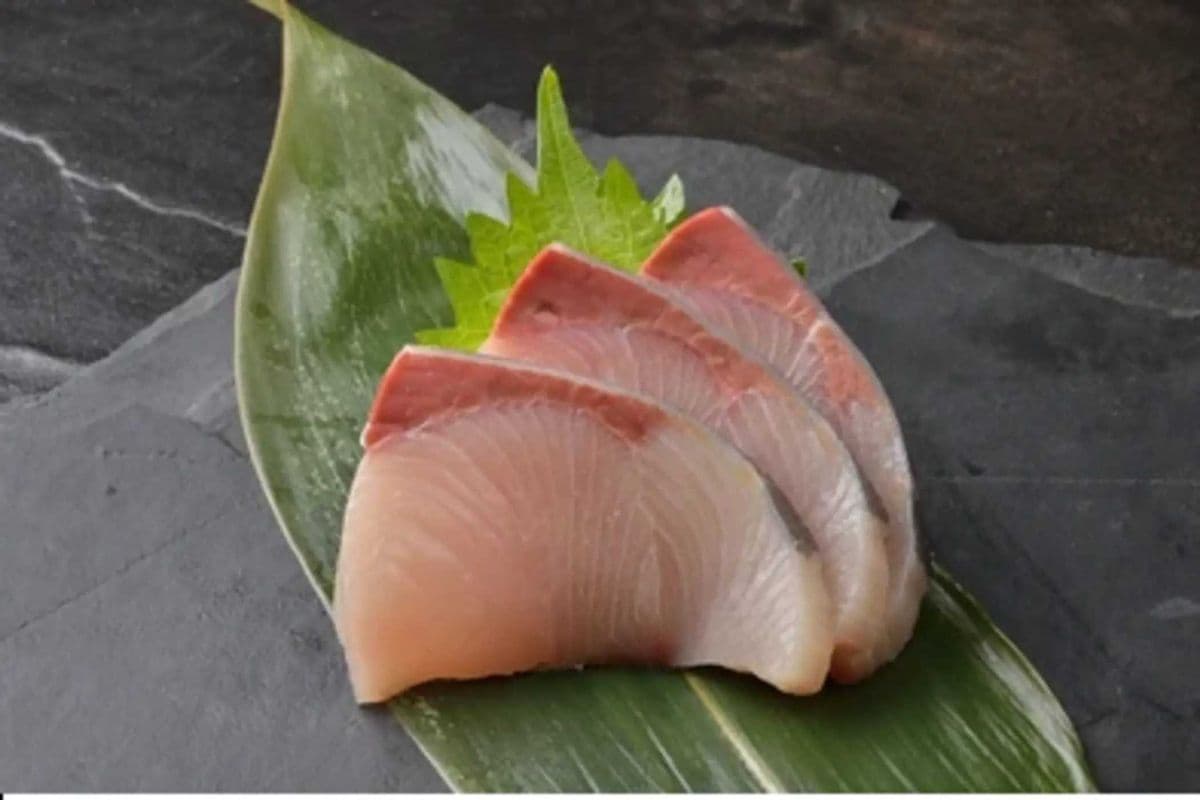Hamachi (Yellowtail) (3 Pieces)