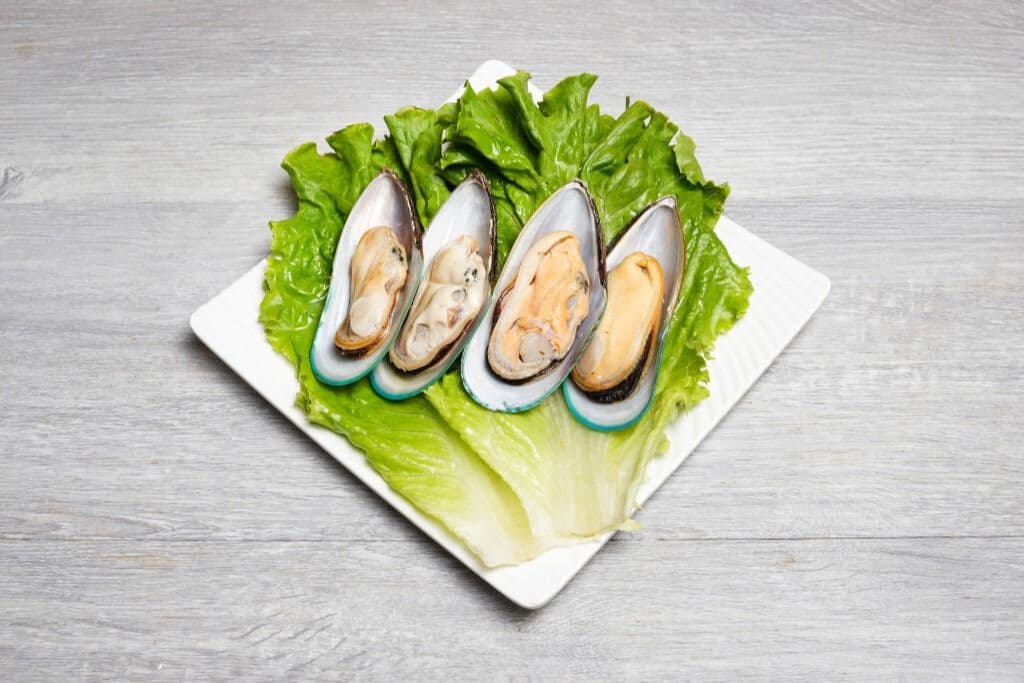Mussel / 紐西蘭青口 (6 pcs)