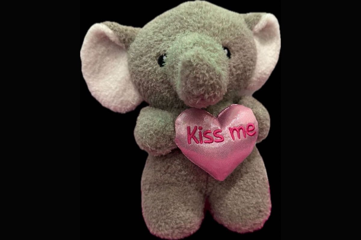 Kiss Me Elephant