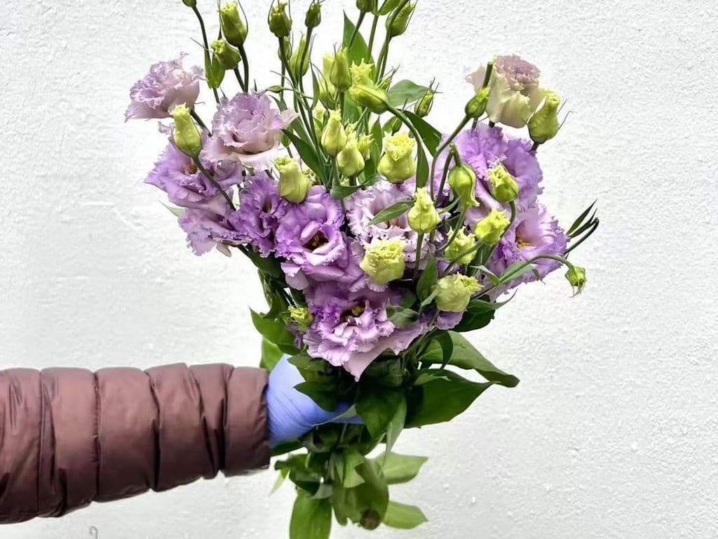 Local Flowers - Local Lisianthus Pink (5 stems)
