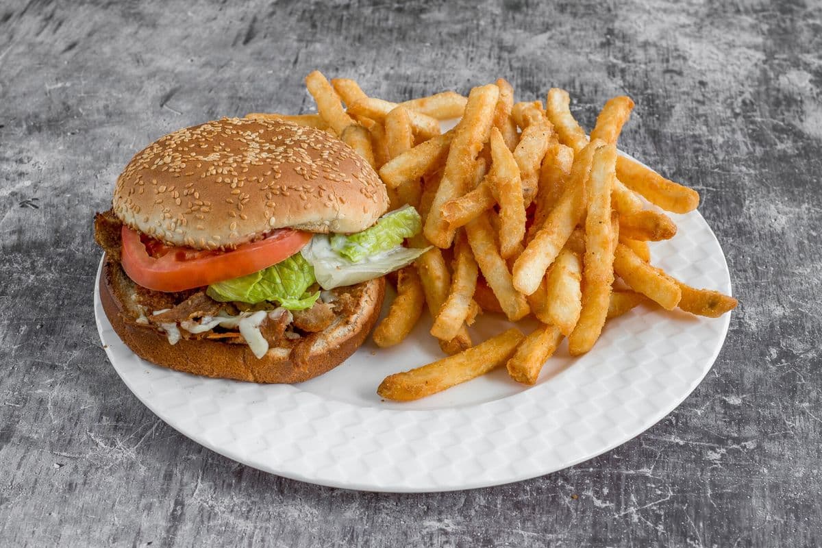 Cheeseburger with Fries