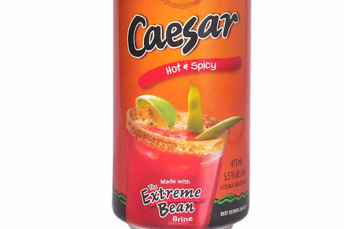 MATT & STEVE'S CAESAR - HOT & SPICY 473ML (1 x 473ML)